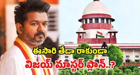 TVK Petition: గవర్నర్ గ్రీన్ సిగ్నల్ ఇచ్చినా.. సుప్రీంకోర్టులో టీవీకే పిటిషన్.. విజయ్ వ్యూహం ఏంటి?