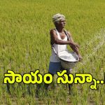 హమీలు ఇచ్చారు.. అమలు మరిచారు.. కౌలు రైతుల గుర్తింపు పై రాష్ట్ర ప్రభుత్వం మౌనం!