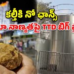 తిరుమల లడ్డూ నాణ్యతపై టీటీడీ కీలక నిర్ణయం.. భారీగా పెరిగిన నెయ్యి నిల్వ సామర్థ్యం!