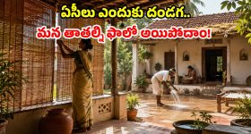 అప్పట్లో ఏసీలు లేవు.. మరి ఇళ్లు చల్లగా ఎలా ఉండేవి? తాతల నాటి టెక్నిక్స్ ఇవే!