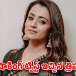 త్రిషను కావాలనే పక్కన పెట్టారా? ఆ ఆడియో లాంచ్‌లో అసలు ఏం జరిగింది? షాకింగ్ ట్విస్ట్ ఇచ్చిన హీరోయిన్!