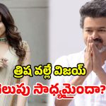 Vijay – Trisha: విజయ్ సక్సెస్ వెనుక.. త్రిష మాస్టర్ ప్లాన్ ఉందా? తమిళనాట ఆసక్తికర చర్చ!