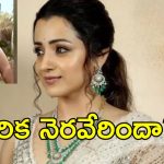 నేను సీఎం అవుతా త్రిష కోరిక నెరవేరినట్టేనా..వైరల్ అవుతున్న వీడియో!