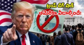 హోమ్ థియేటర్ రేంజ్ సౌండ్.. బ్లౌపంక్ట్ కొత్త వైర్‌లెస్ స్పీకర్ల స్పెషాలిటీ ఇదే!