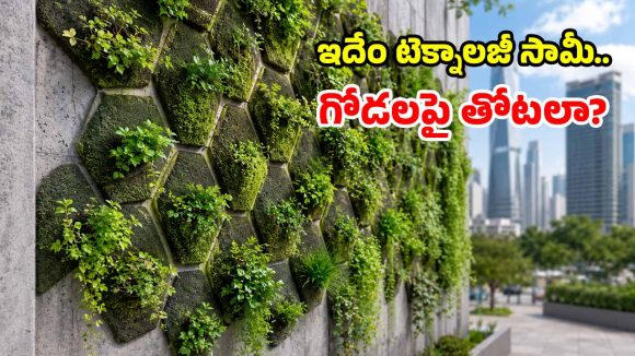 ఇకపై ఇంట్లోనే కాదు.. గోడలపైనా మొక్కలు పెంచేయొచ్చు.. శాస్త్రవేత్తల క్రేజీ ఆవిష్కరణ!