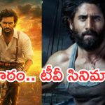 Today Movies in TV : ఆదివారం టీవీ సినిమాలు.. మూవీ లవర్స్ కు పండగే..