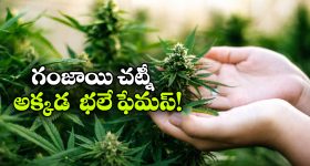 గిన్నెలు కడగడం కష్టంగా ఉందా? రూ.10వేలలోపు 5 బెస్ట్ స్మార్ట్ గాడ్జెట్స్!