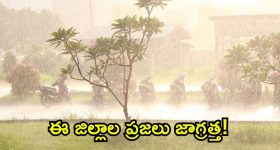 Safest Family SUV: డస్టర్ vs సియెర్రా vs సెల్టోస్.. వీటిలో మోస్ట్ సేఫెస్ట్ SUV ఏది?