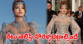 ఒక్క డ్రెస్ ధర 1,491 కోట్లా?.. రేటుతోనే చెమటలు పట్టిస్తున్న బాలీవుడ్ బ్యూటీ..!
