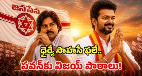 కింగ్ మేకర్ కాదు, డైరెక్ట్ కింగే.. తమిళనాట విజయ్ ప్రభంజనం.. పవన్‌కు నేర్పిన పాఠాలు!
