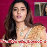 ట్రోలర్స్‌కు గట్టి షాక్ ఇచ్చిన విష్ణుప్రియ.. మియాపూర్ పోలీస్ స్టేషన్‌లో కేసు నమోదు!