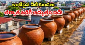 వైద్యశాఖలో బదిలీల జోరు.. ఐదు సంవత్సరాలు దాటితే అక్కడికి వెల్లాల్సిందే?