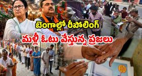 Krithi Shetty : కస్సుమనే చూపులతో కైపెక్కిస్తున్న కృతి.. కుర్రాళ్ళు ఏమైపోతారు..