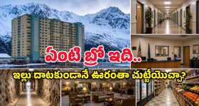 పార్టీ పెట్ట‌డం అంత సులువైన ప‌నేం కాదు.. అర్థ‌మైందా రాజా? ర‌జినీతో విజ‌య్‌ను పోల్చ‌లేం.. ఎవ‌రికి వారే..!