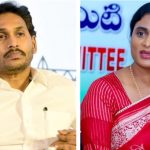 అన్నకు సపోర్టుగా చెల్లి, ఆపై టీడీపీపై మండిపాటు, ఆ మేటరేనా?