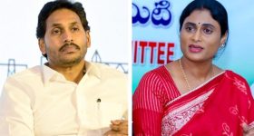 అన్నకు సపోర్టుగా చెల్లి, ఆపై టీడీపీపై మండిపాటు, ఆ మేటరేనా?