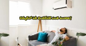 హెచ్-1బీ వీసా ఇకపై కఠినతరం.. 30 శాతం వేతనం పెంచాలని సూచన, అక్కడ ఉద్యోగం కష్టమే