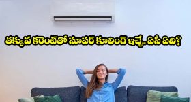 ఇటలీ ప్రధాని జార్జియా మెలోనికి ప్రధాని మోదీ అరుదైన గిఫ్ట్, వీడియో వైరల్