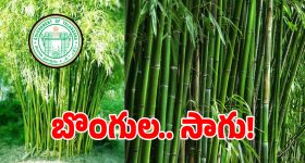 తెలంగాణ రైతన్నలకు ప్రభుత్వం బంపర్ ఆఫర్.. మూడేళ్ల దాకా పైసలు ఫ్రీ..!