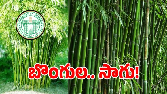 తెలంగాణ రైతన్నలకు ప్రభుత్వం బంపర్ ఆఫర్.. మూడేళ్ల దాకా పైసలు ఫ్రీ..!