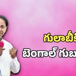 తెలంగాణలో దీదీ రాజకీయం.. బీజేపీ కోటలు బద్దలు కొట్టేందుకు కేటీఆర్, హరీష్ రావులకు డెడ్లీ మిషన్..!