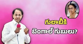 తెలంగాణలో దీదీ రాజకీయం.. బీజేపీ కోటలు బద్దలు కొట్టేందుకు కేటీఆర్, హరీష్ రావులకు డెడ్లీ మిషన్..!