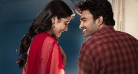 పటాన్‌చెరు రోడ్డుపై ఖరీదైన హస్కీ జాతి శునకాలు.. ఎండ వేడిమికి తట్టుకోలేక, ఒకటి మృతి మరికొన్నింటిని