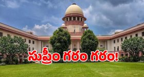మూడు క్యాచ్ లు వ‌దిలేసిన పంజాబ్... కావ్య పాప డ‌బ్బుల‌కు అమ్ముడుపోయారంటూ ట్రోల్స్