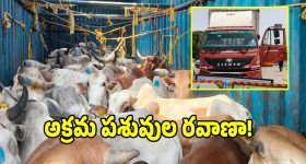 BAN VS PAK: గ్రూప్ ఫోటోపై బంగ్లాదేశ్ కోచ్ ముస్తాక్ డ్రామాలు...పాకిస్తాన్ నుంచి త‌న్ని త‌రిమేస్తార‌ని ట్రోల్స్‌