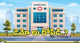 జైలుకెళ్లినా సీటు కదలదు.. కలెక్టర్‌నే బురిడీ కొట్టించిన డెమోల దందా..!