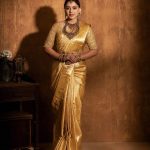Deviyani Sharma: పట్టు చీరలో సడన్ షాక్ ఇచ్చిన దేవియాని.. ఊహించలేదంటూ!