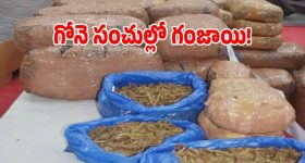5 గోనే సంచులు.. 60 ప్యాకెట్లు.. ఈ గంజాయి విలువ ఎంతో తెలిస్తే దిమ్మతిరగాల్సిదే!