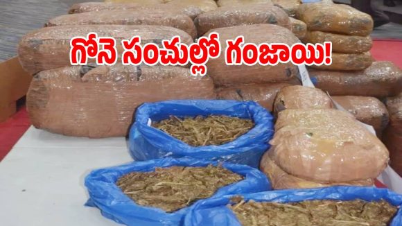 5 గోనే సంచులు.. 60 ప్యాకెట్లు.. ఈ గంజాయి విలువ ఎంతో తెలిస్తే దిమ్మతిరగాల్సిదే!