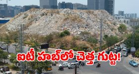 వన్ షార్ట్ టూ బర్డ్స్ ఫార్ములా.. మామూలు మహిళ కాదు, సాప్ట్‌గా ప్లాన్ చేసి భర్తని పైలోకానికి పంపి