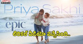 పెద్ద లీడర్లు తెలిస్తే 'సో వాట్'.. హద్దుమీరితే వదిలిపెట్టం.. పవన్ వైల్డ్ ఫైర్!