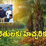 ఇక నైనా రైతులు మేల్కోనక పోతే సర్వ వినాశనమే: ఎమ్మెల్యే మైనంపల్లి రోహిత్!