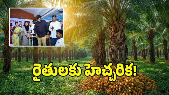 ఇక నైనా రైతులు మేల్కోనక పోతే సర్వ వినాశనమే: ఎమ్మెల్యే మైనంపల్లి రోహిత్!