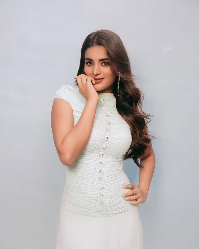 Nidhi Agarwal ( Source / Instagram ) Nidhi Agarwal Photo Gallery