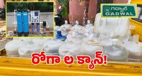 4,000 ఇళ్ల సక్సెస్ ఫార్ములా.. టెర్రస్‌పై ఈ చిన్న ట్రిక్‌తో.. ఇల్లంతా చల్లచల్లగా!