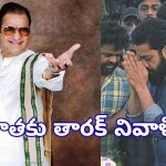 సీనియర్ ఎన్టీఆర్ జయంతి.. ఎన్టీఆర్ ఘాట్ వద్ద తారక్ నివాళి..