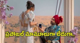 డెసీ బ్లింగ్ షోలో తేజస్వి ప్రకాష్‌కు మోకాళ్లపై ప్రపోజ్ చేసిన కరణ్ కుంద్రా.. నటి ఎమోషనల్..
