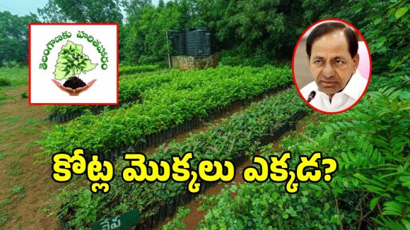 తెలంగాణకు హరితహరం అంతా తుస్సేనా.. పాత హరిత ఫైళ్లు ఓపెన్‌తో జంకుతున్న గత పాలకులు..?