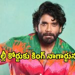 ఢిల్లీ హైకోర్టును ఆశ్రయించిన అక్కినేని నాగార్జున.. అసలు ఏం జరిగిందంటే?