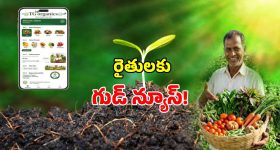 అభిమానులకు బంపర్ ఆఫర్.. మొదటి రోజు సినిమా ఉచితం? రవిబాబు కామెంట్స్ వైరల్!