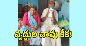 బీమా కంపెనీల్లో 100 శాతం ఎఫ్డీఐ.. కేంద్రం నోటిఫై..  ఎల్ఐసీలో మాత్రం!