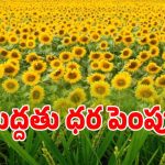 రైతులకు కేంద్రం బంపర్ ఆఫర్.. 14 రకాల పంటలకు మద్దతు ధర పెంపు..!
