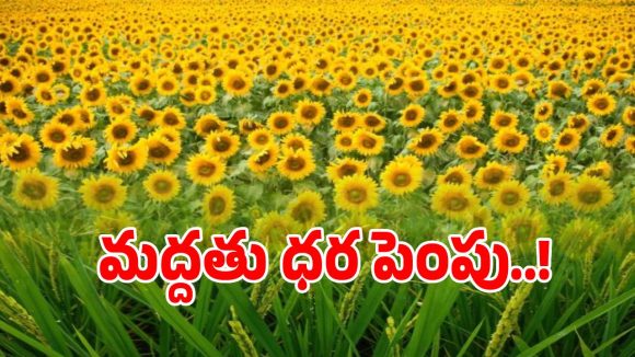 రైతులకు కేంద్రం బంపర్ ఆఫర్.. 14 రకాల పంటలకు మద్దతు ధర పెంపు..!