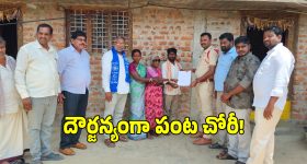 షాకింగ్ రిజల్ట్స్.. కోడిగుడ్డు పెంకులతో మిక్సీ బ్లేడ్ల పదును, అదెలాగో చూసేద్దాం రండి!