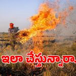 పంట వ్యర్థాలను పొలంలో కాల్చేస్తున్నారా.. అయితే మీరు ఫైన్ కట్టాల్సిందే?