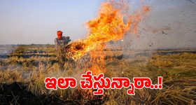 పంట వ్యర్థాలను పొలంలో కాల్చేస్తున్నారా.. అయితే మీరు ఫైన్ కట్టాల్సిందే?
